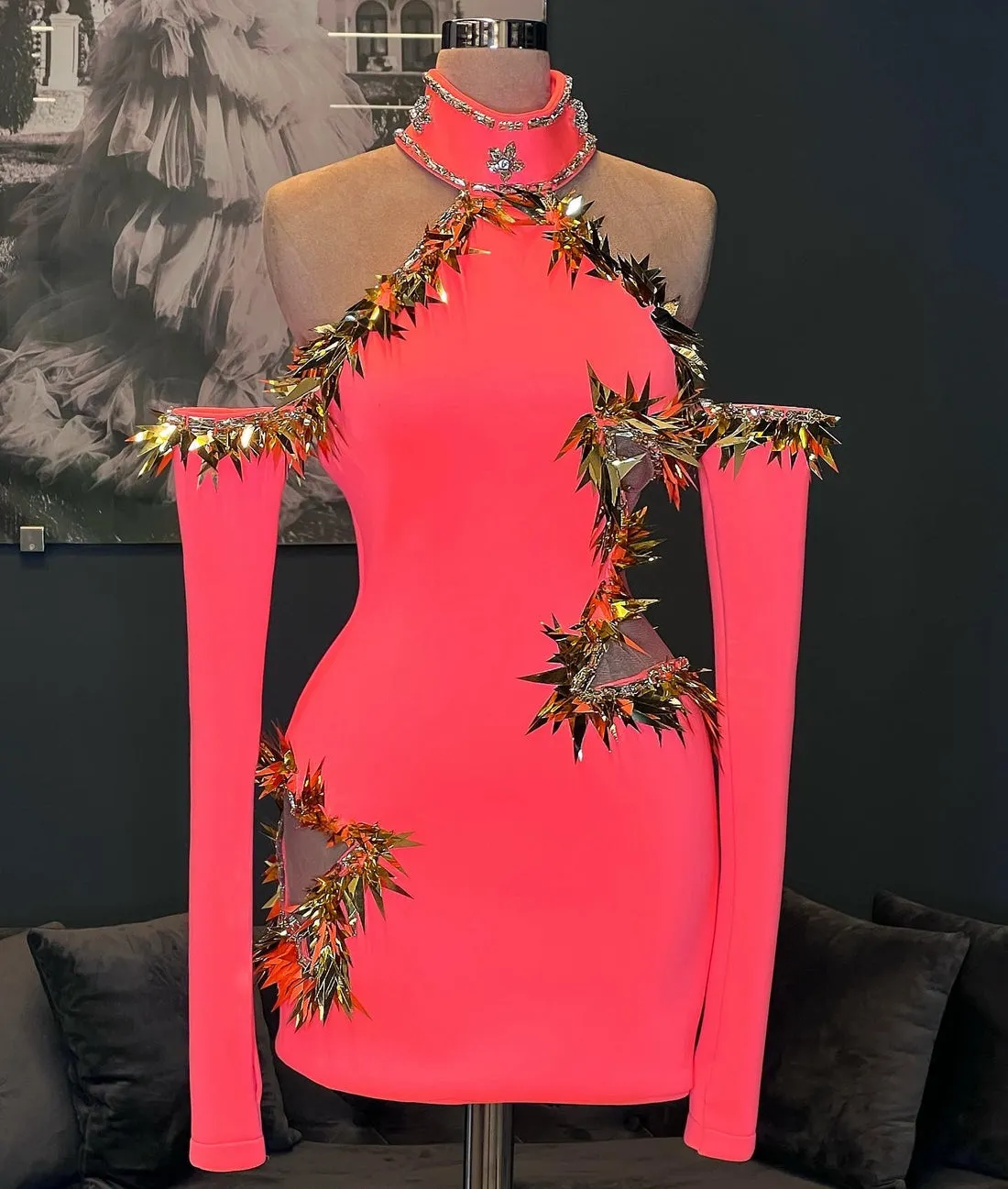 Everly  Long Sleeves Beautiful Pink  Evening Dress